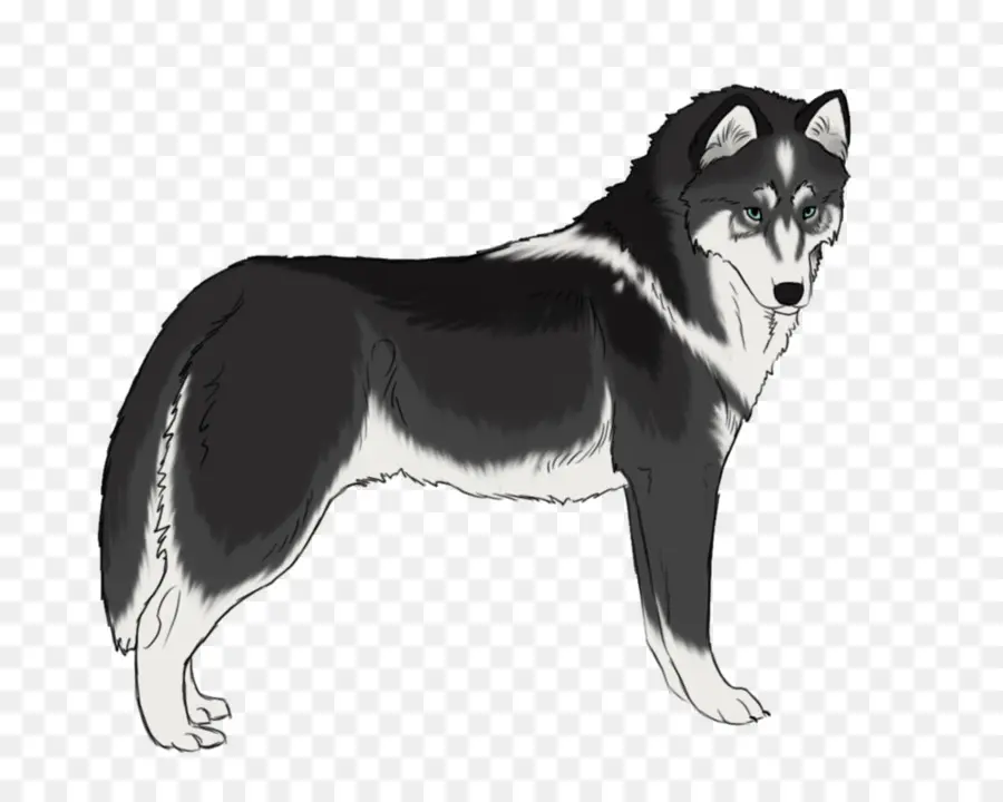 Husky Siberiano，Sakhalin Husky PNG