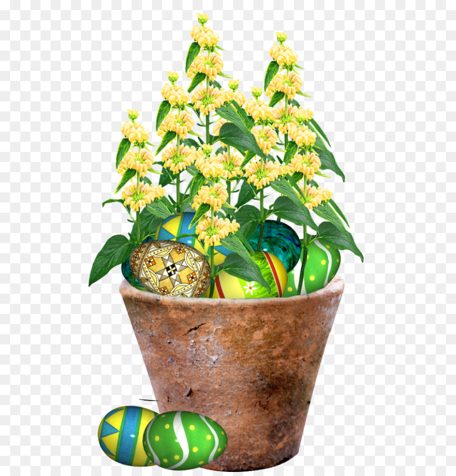 Planta De Interior，Maceta PNG