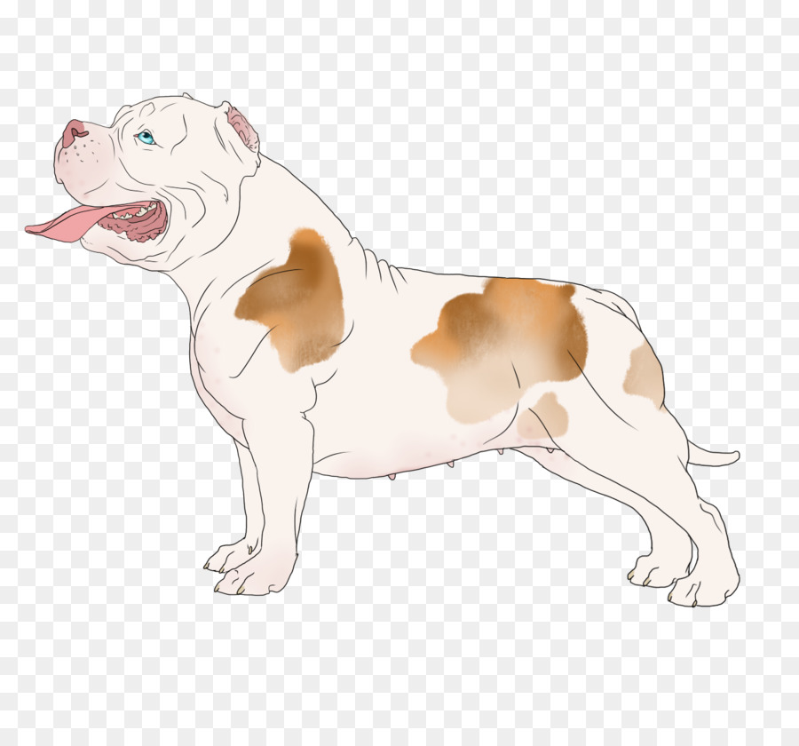 Bulldog，Raza De Perro PNG