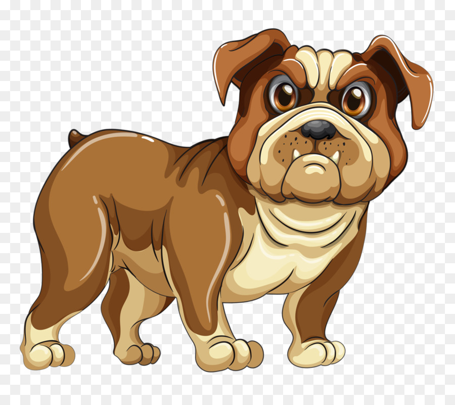 Bulldog，Puede Foto De Stock PNG