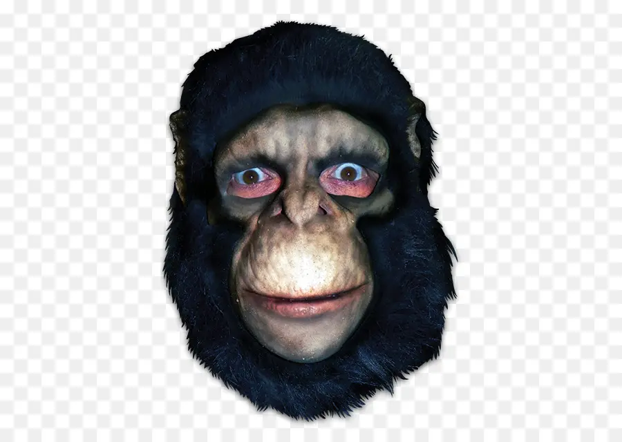 Chimpancé Común，Gorila PNG