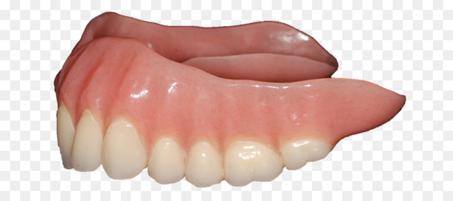 Dentadura Postiza，Diente Humano PNG