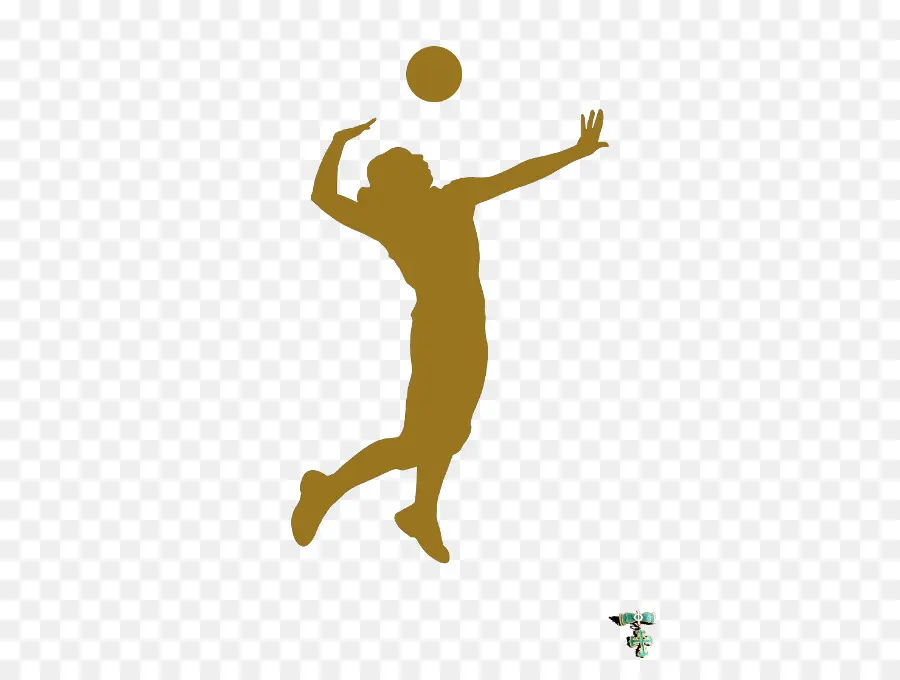 Jugador De Voleibol，Atleta PNG