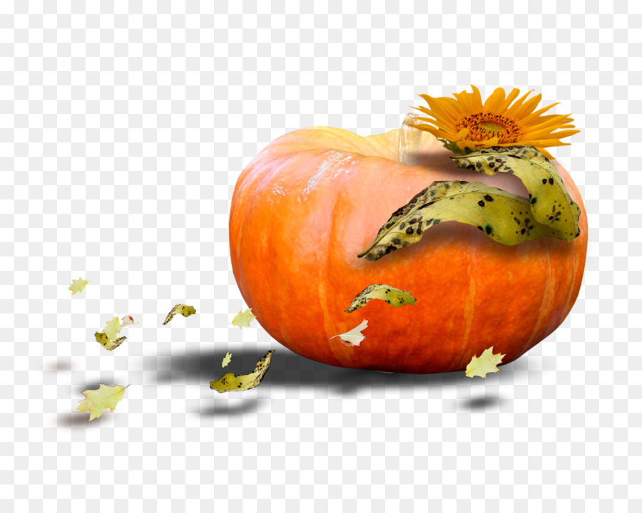 Calabaza，Calabaza De Invierno PNG