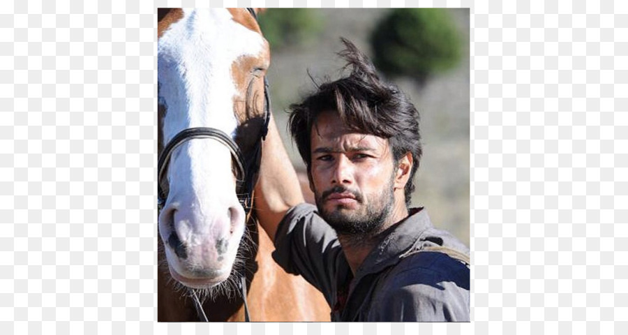 Rodrigo Santoro，Hay Dragones PNG