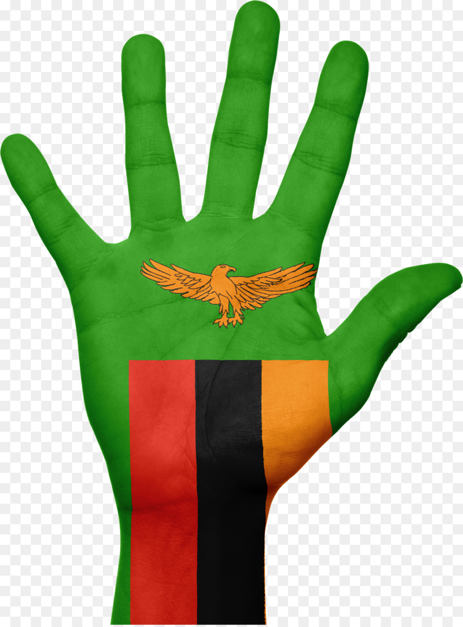 Zambia，Bandera De Zambia PNG