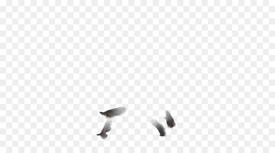 Aves，Blanco PNG