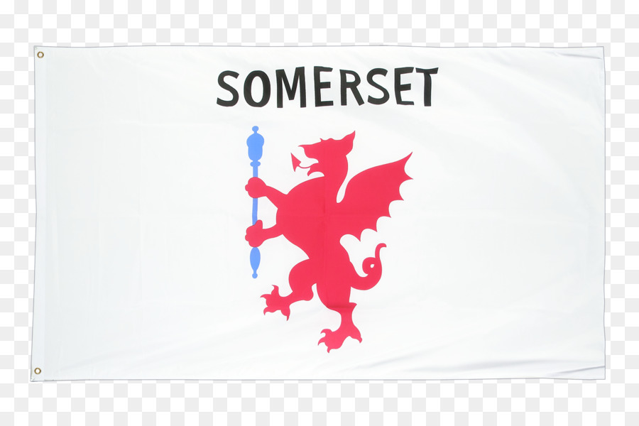 Taunton，El Consejo Del Condado De Somerset PNG