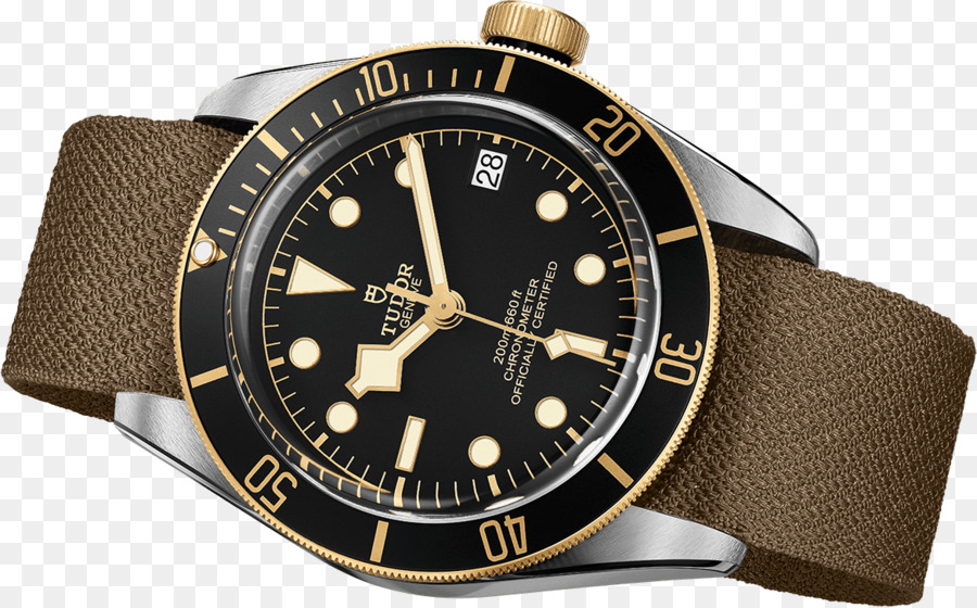 Mundo De Basón，Relojes Tudor PNG