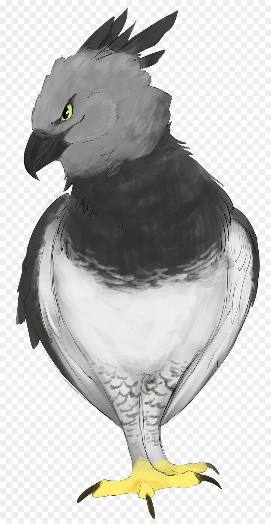 águila，Pollo PNG