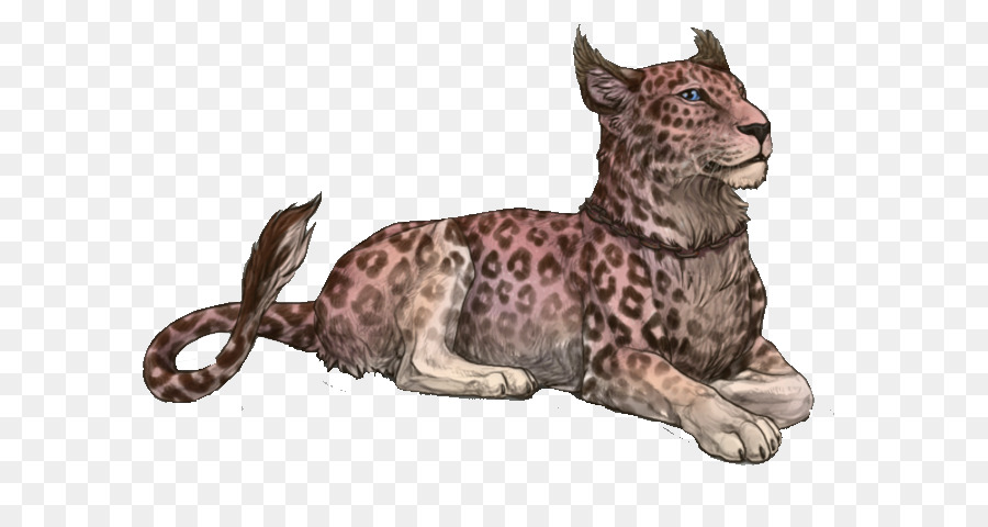 Guepardo，Gato PNG