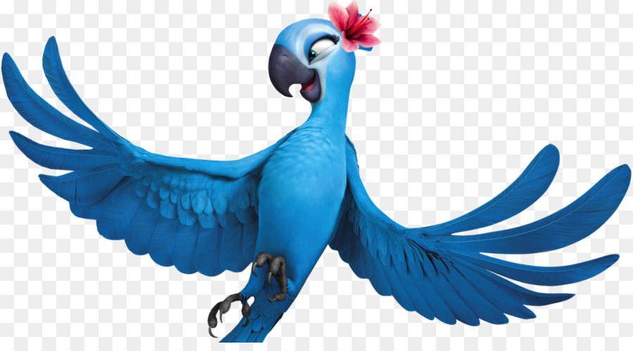 Loro Azul，Pájaro PNG