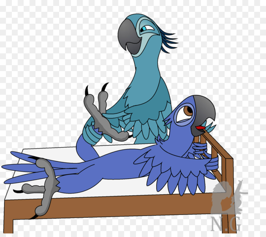 Guacamayo，Loro PNG