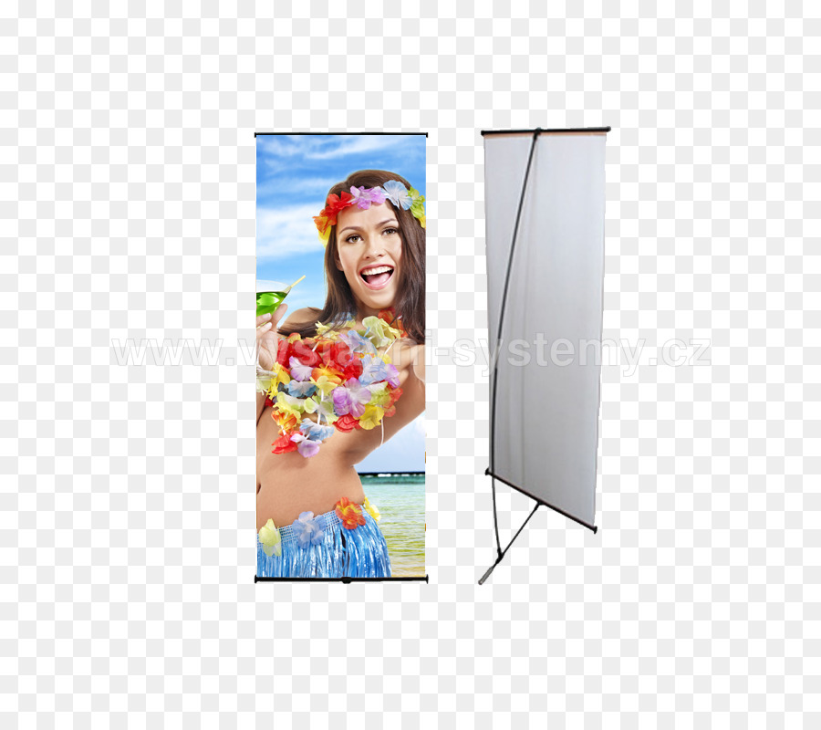 La Publicidad De Display，Publicidad PNG