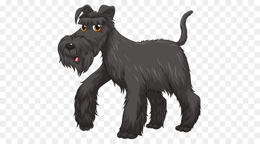 Cachorro，Yorkshire Terrier PNG