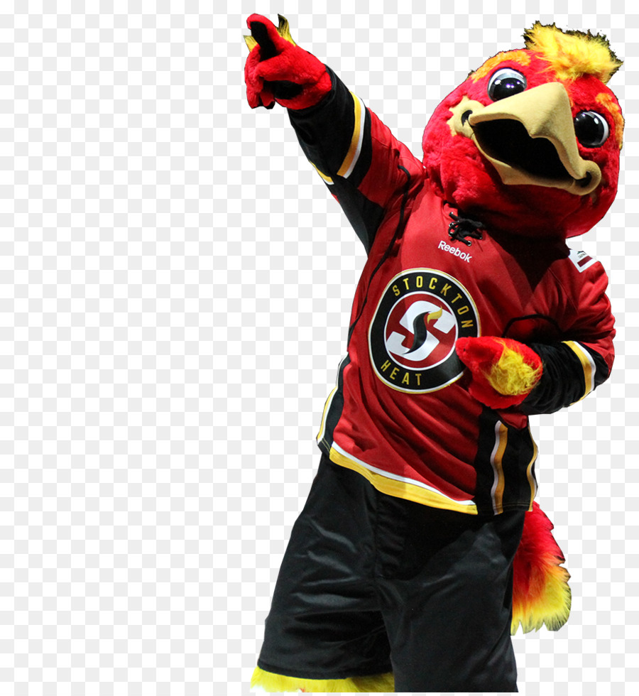 Universidad Del Pacífico，Stockton Heat PNG