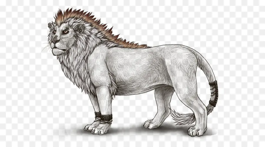 León，Rugido PNG