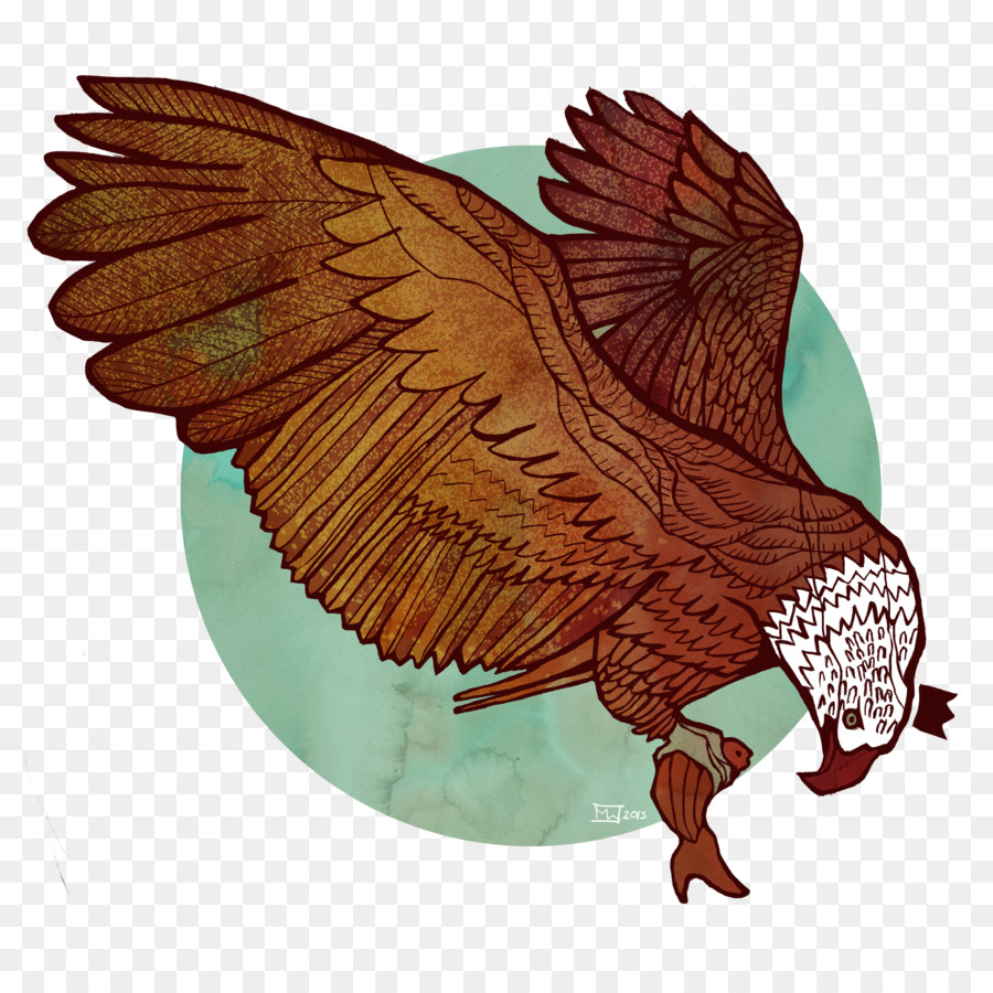 águila，Arte PNG