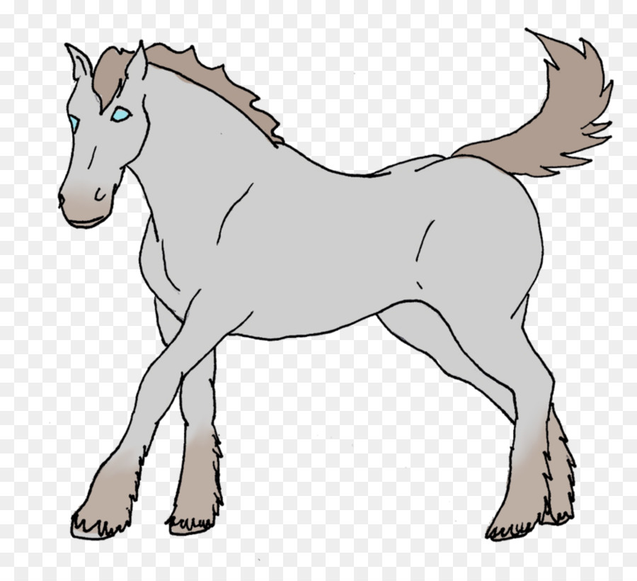 Caballo，Equino PNG