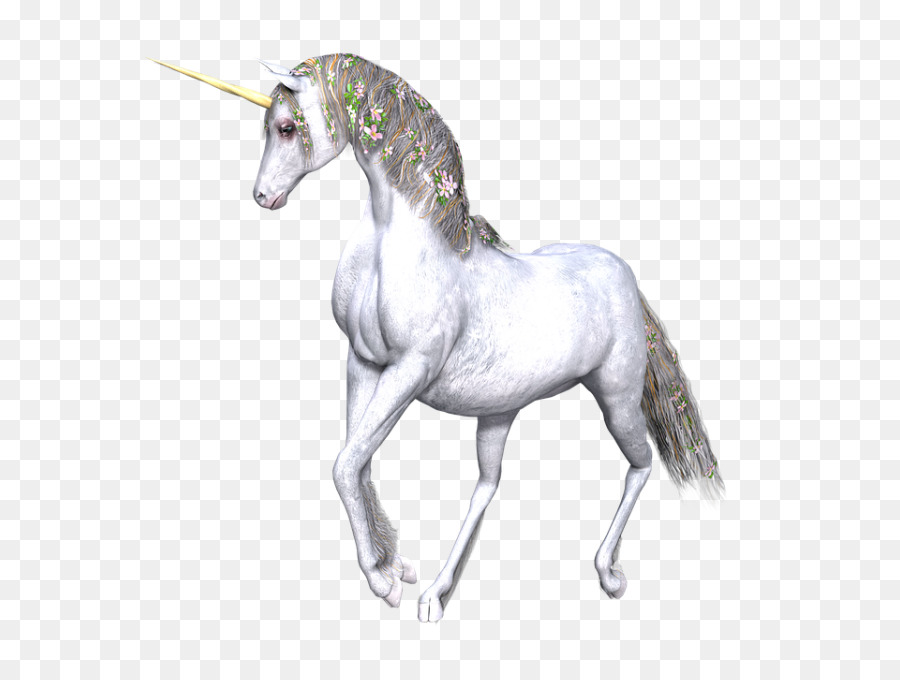 Unicornios，Caballos PNG