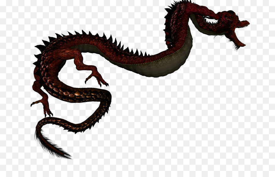 Dragón，Velociraptor PNG