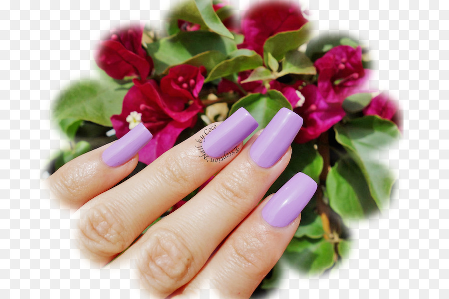 Uñas，Manicura PNG