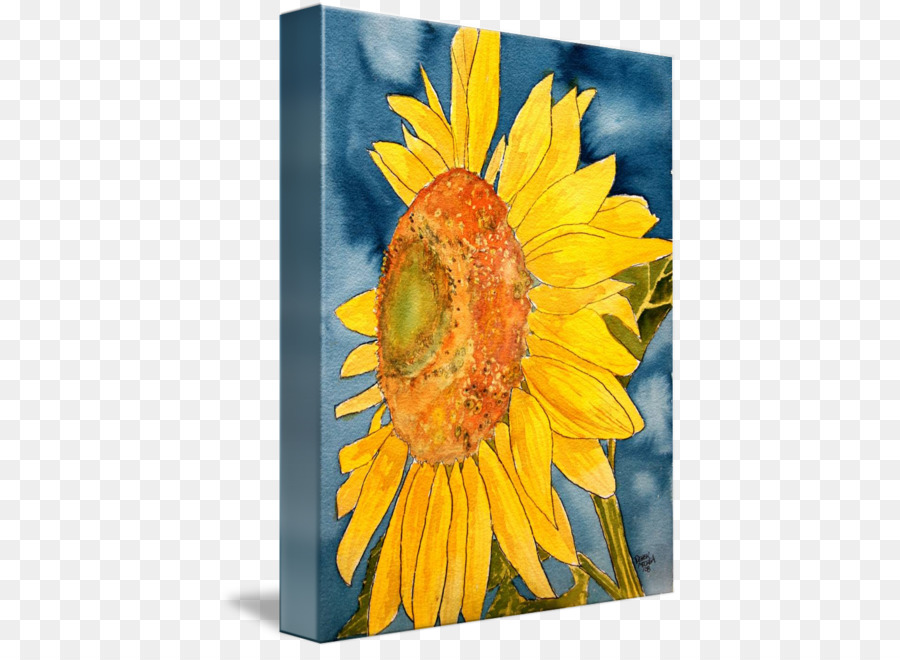 Común De Girasol，Pintura PNG