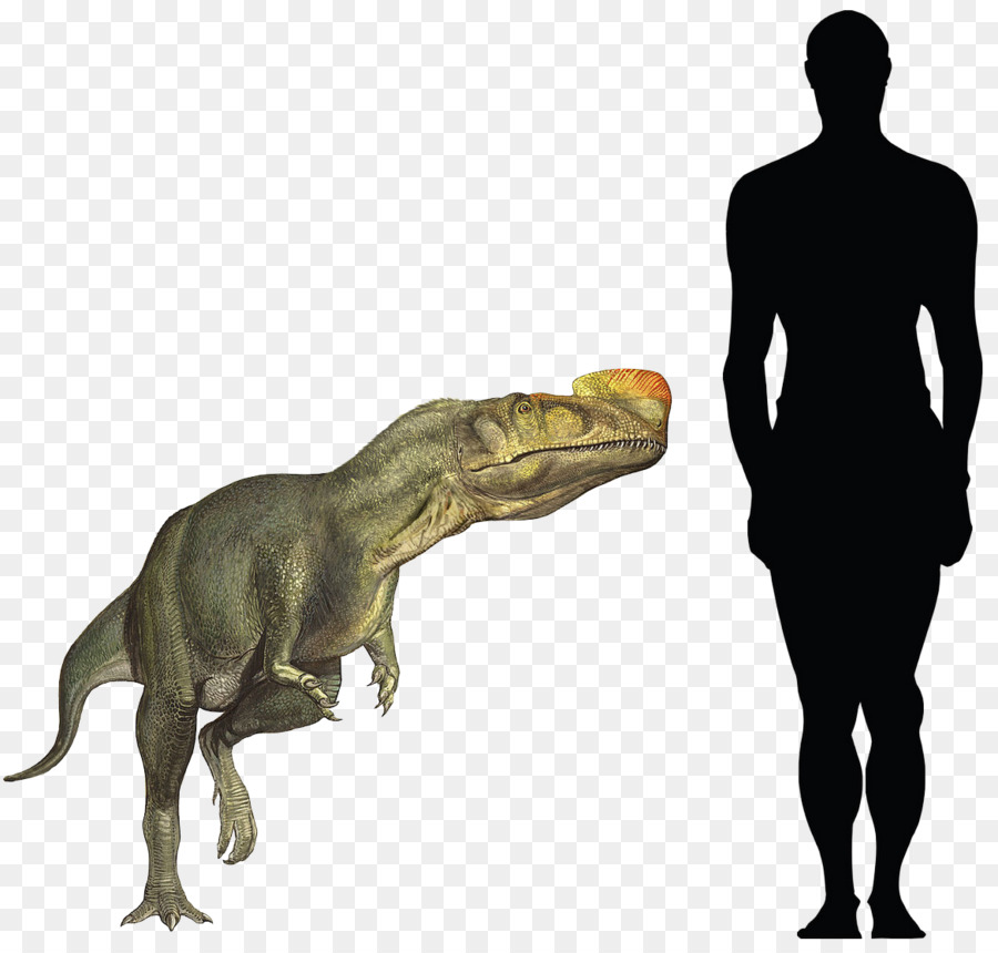 Tyrannosaurus，Kileski En PNG