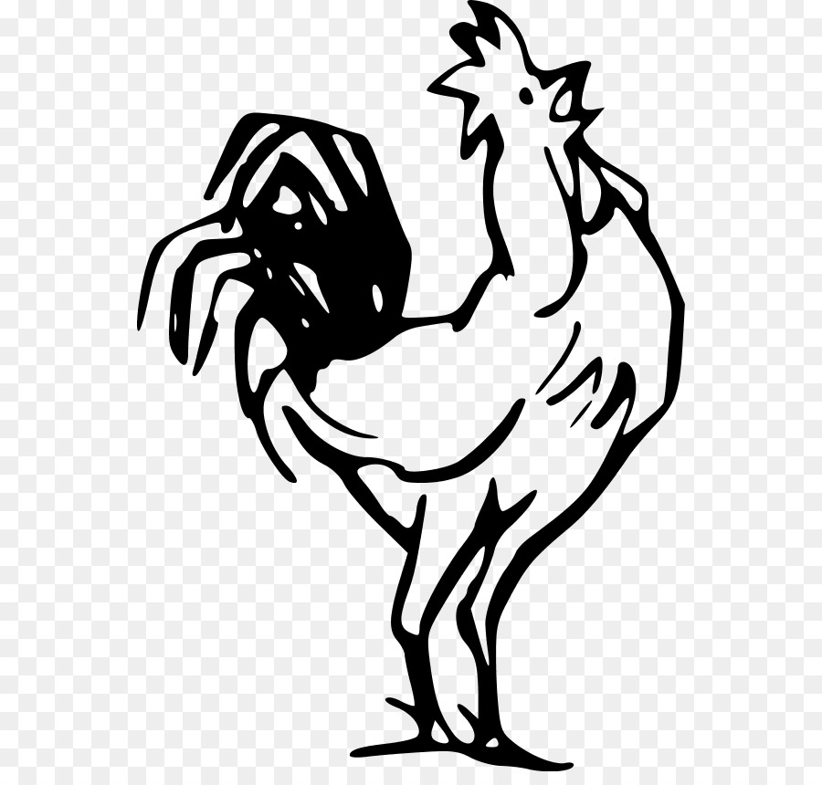 Pollo，Gallo PNG