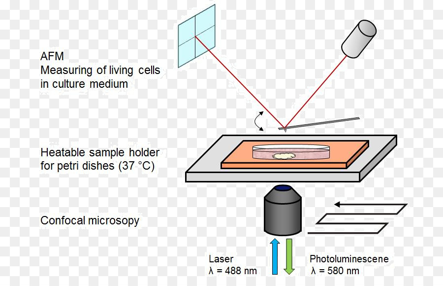 La Universidad De Hamburgo，Nanopartículas PNG