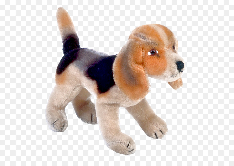 Beagle，Cachorro PNG