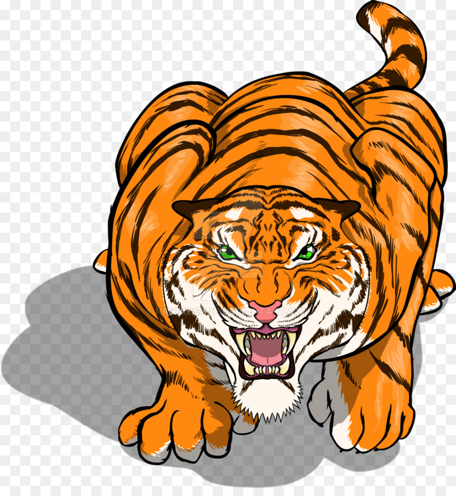 Tigre，Rayas PNG