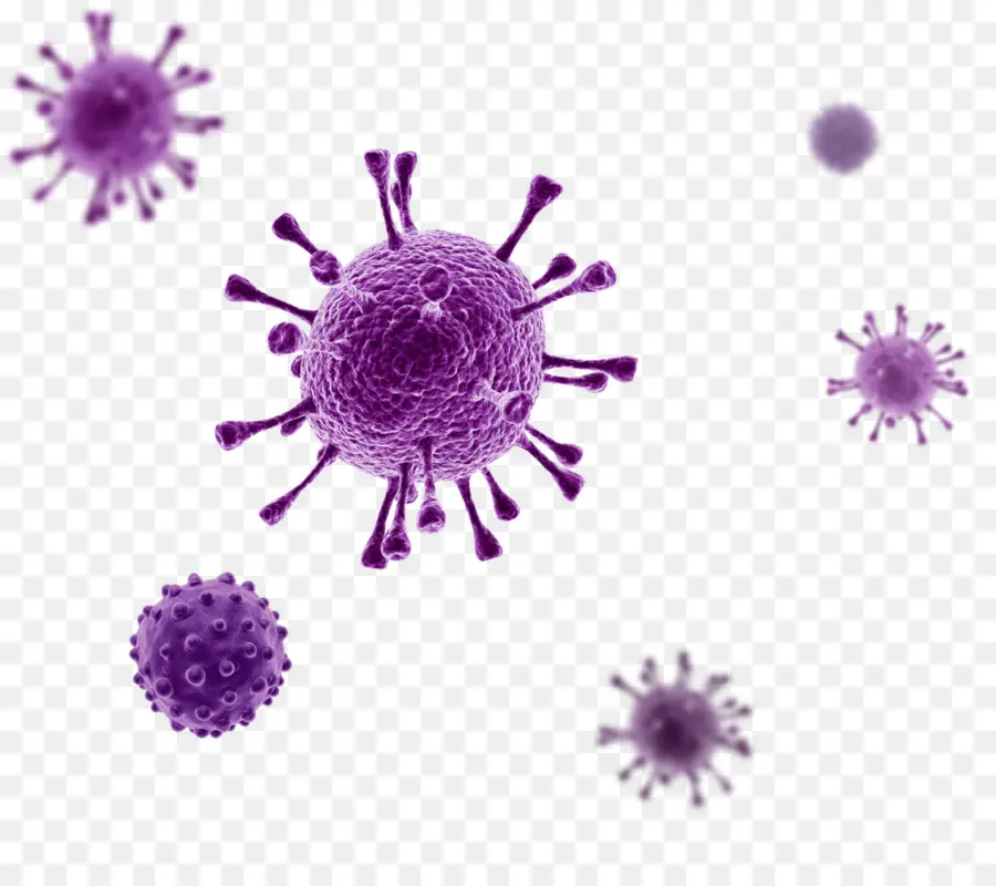 Virus，Infección PNG