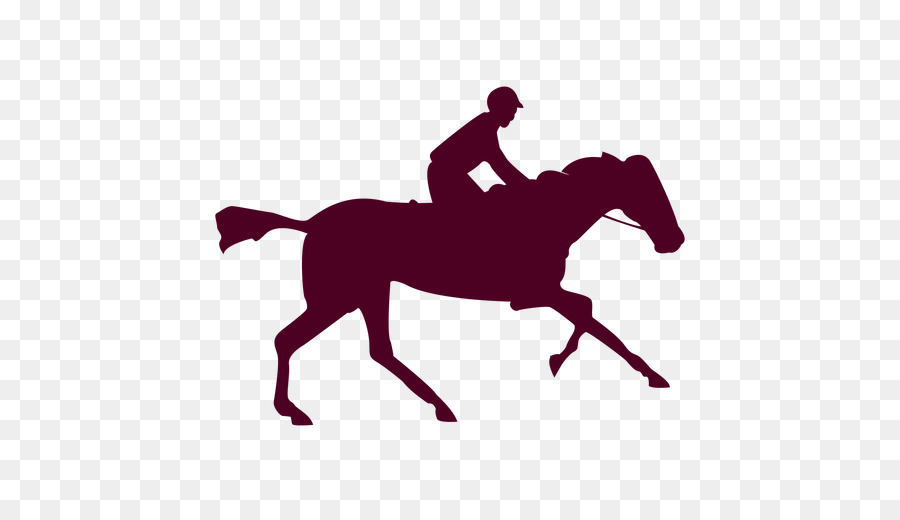 Caballo，Fotógrafo PNG