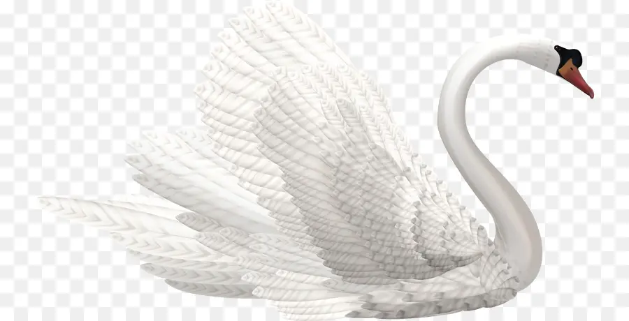 Cisne，Cisne Negro PNG