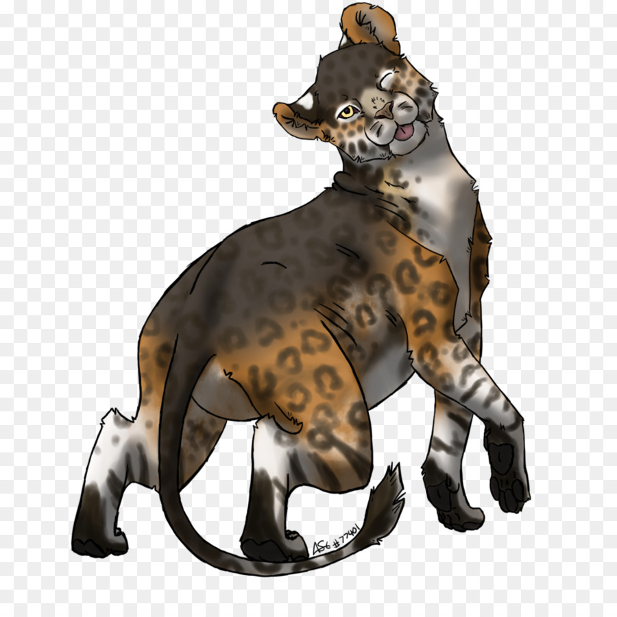 Raza De Perro，Gato PNG