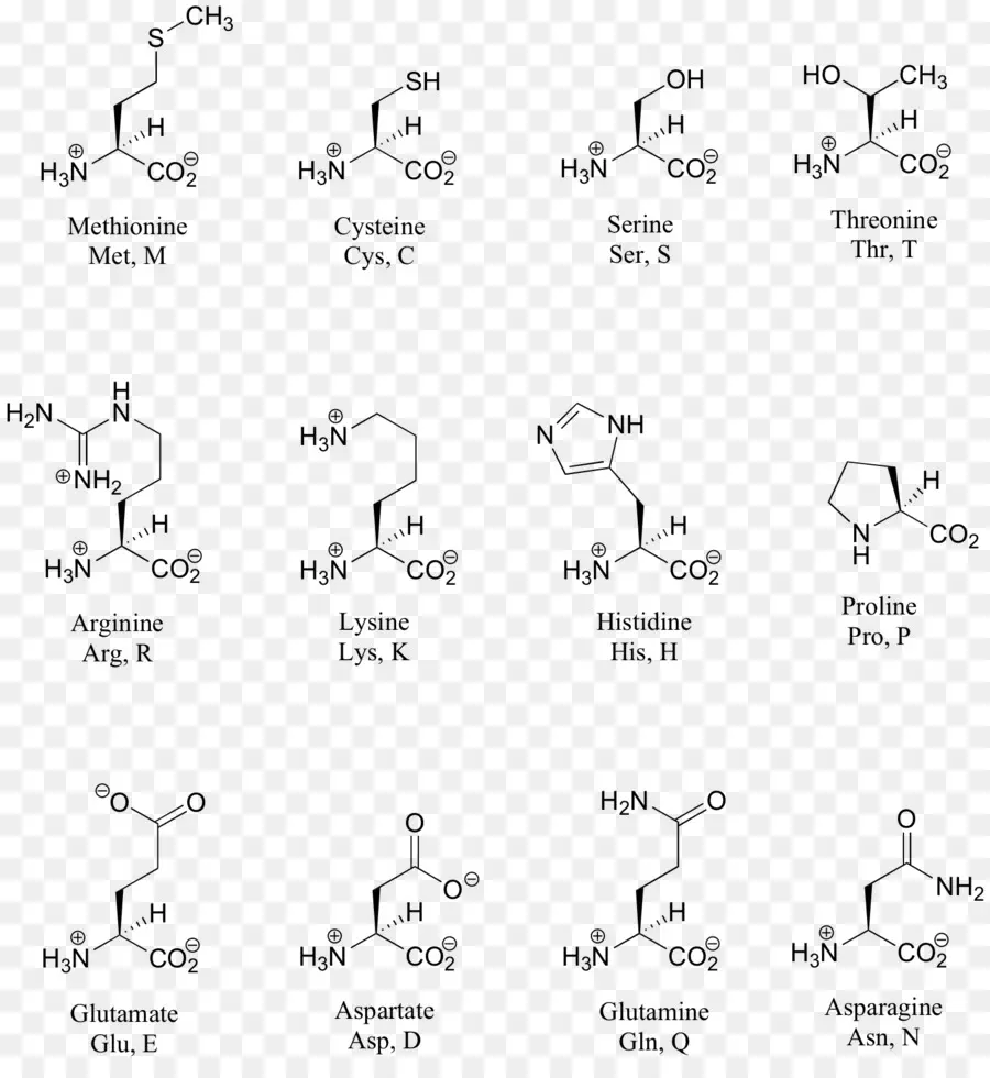 Moléculas De Cocaína，Estructura PNG