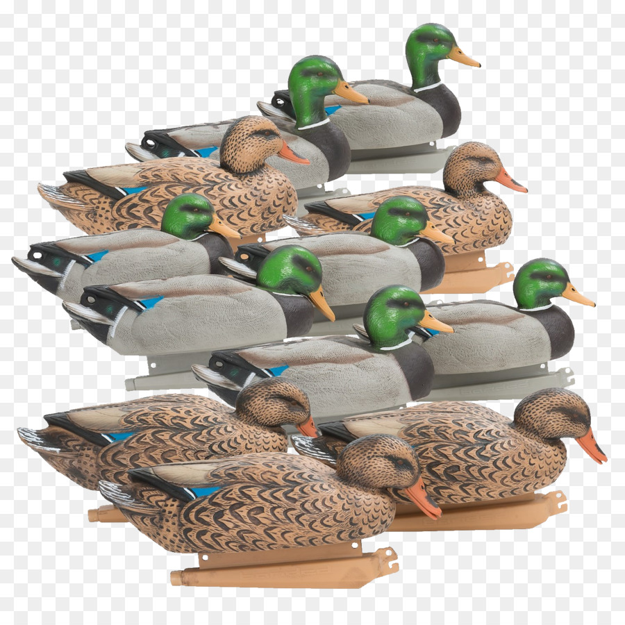 Señuelos De Pato，Patos PNG