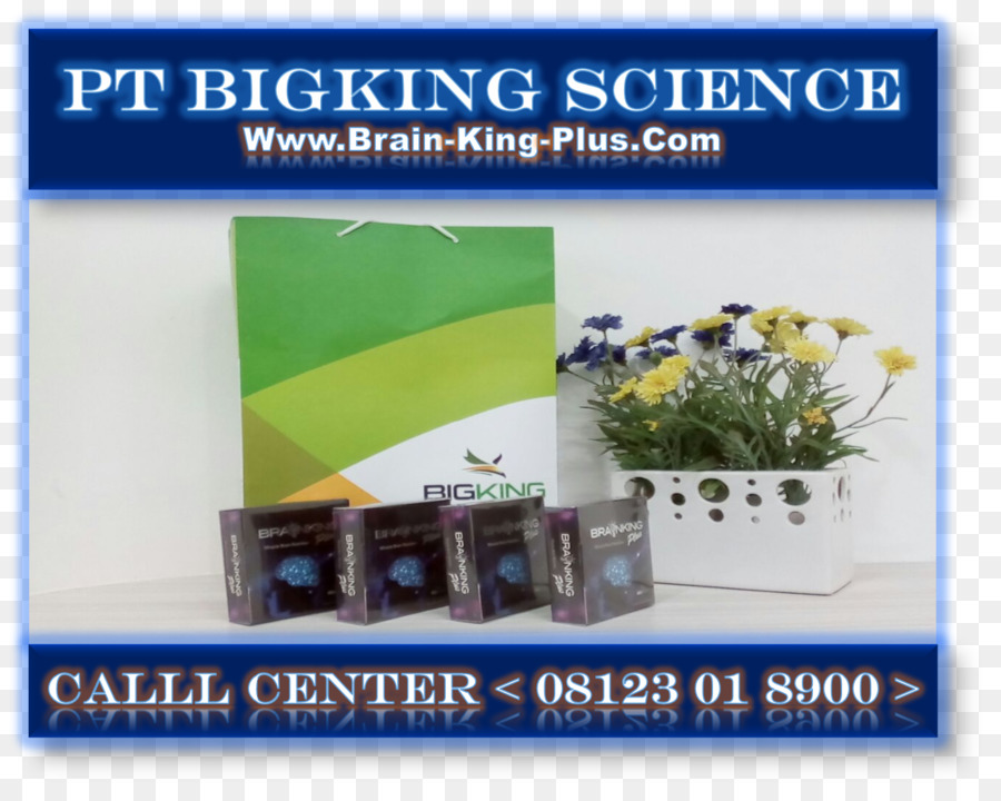 Brainking Plus Indonesia，Nutrición PNG