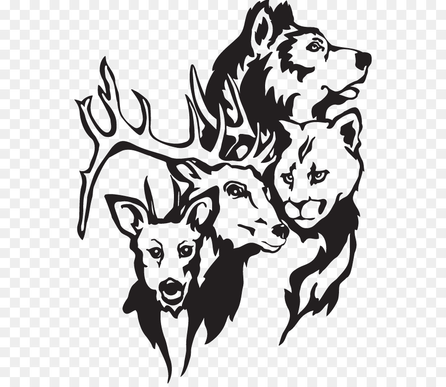 Animales Salvajes，Oso PNG