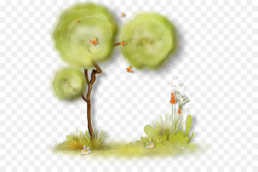 Árbol，Planta PNG