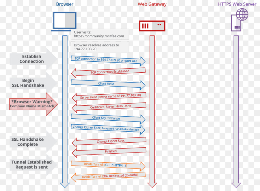 La Capa De Transporte De Seguridad，Https PNG