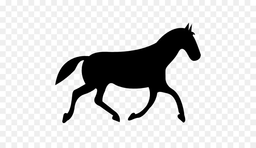 Silueta De Caballo Negro，Equino PNG