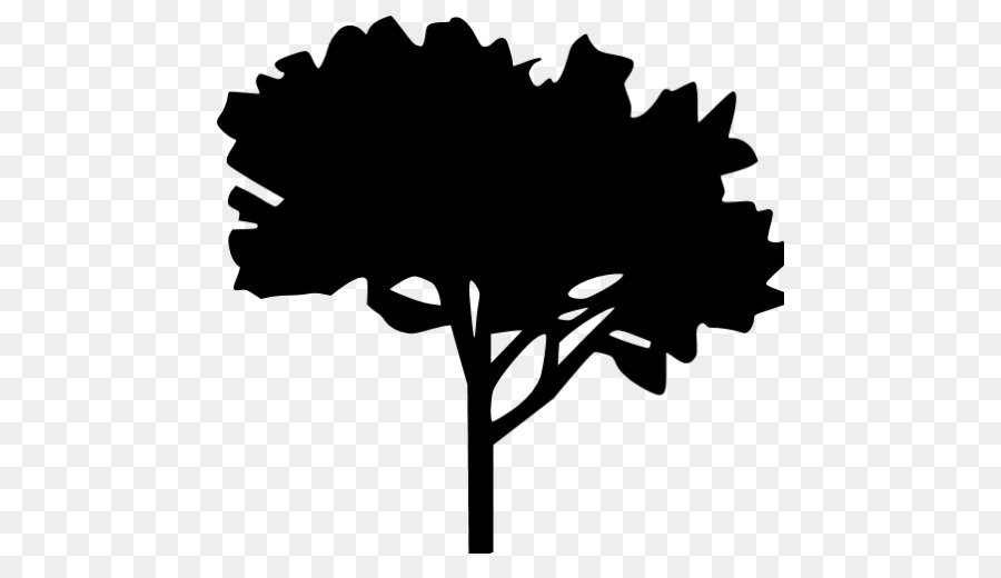 Silueta De Arbol，Planta PNG