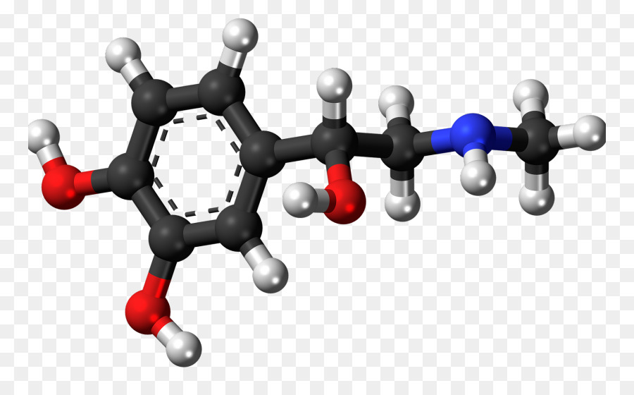 Adrenalina，Cortisol PNG