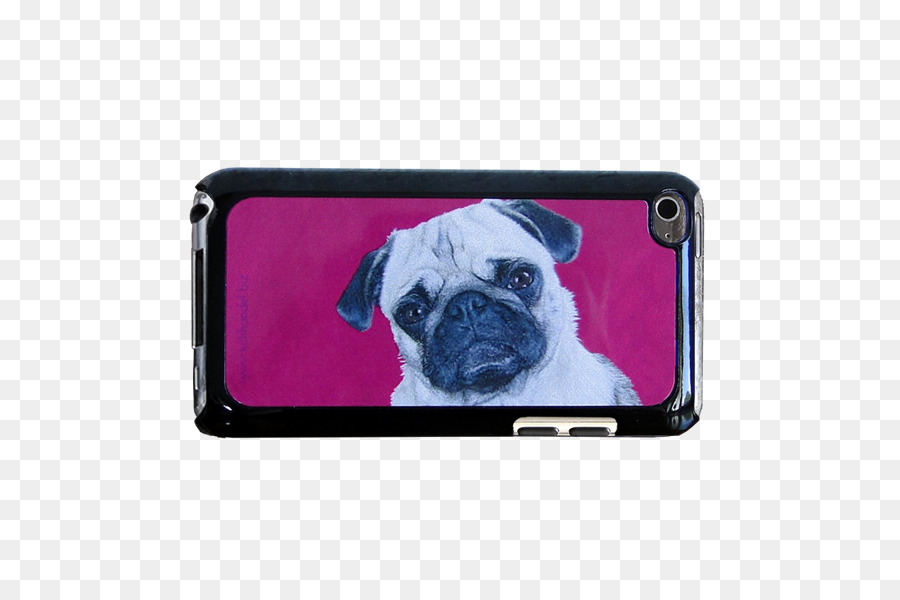 Pug，Cachorro PNG