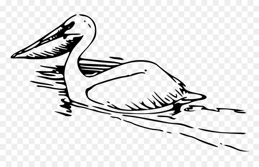 Pelican，En Blanco Y Negro PNG