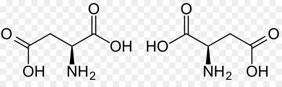 Suplemento Dietético，El ácido Aspártico PNG