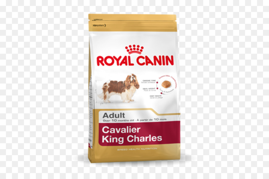 Cavalier King Charles Spaniel，King Charles Spaniel PNG