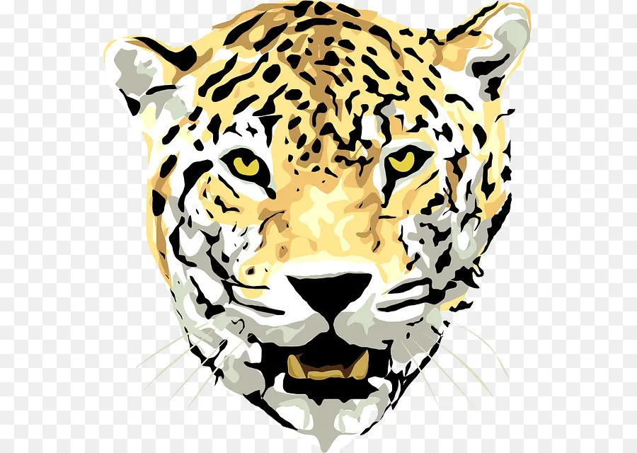 Jaguar，Felidae PNG